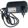 Адаптер JAZZWAY 24W (12B 2A)