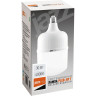 Лампа JAZZWAY PLED-HP-T100 30w 4000K 2550Lm E27 220/50