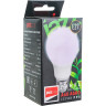 Лампа светодиодная для растений JAZZWAY PPG A60 AGRO 9W FROST E27