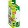 Лампа светодиодная JAZZWAY PLED-ECO 5Вт C37 3000К E14