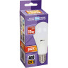 Лампа светодиодная JAZZWAY PLED POWER A60 15W E27 5000K