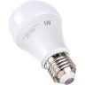 Лампа светодиодная JAZZWAY PLED POWER A60 15W E27 5000K