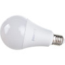 Лампа светодиодная JAZZWAY PLED POWER PLED-SP A70 25W E27 5000K