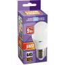 Лампа светодиодная JAZZWAY PLED POWER PLED-SP G45 9W E27 5000K