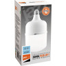Лампа светодиодная высокой мощности JAZZWAY PLED-HP-T120 40W E27/E40 6500K