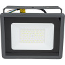 Прожектор JAZZWAY ФАZА СДО-10 100w 6500K GR IP65 230V