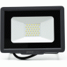 Прожектор JAZZWAY PFL-C3 10w compact 6500K IP65
