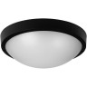 Пылевлагозащищенный светильник JAZZWAY PBH - PC- RA 18W 4000K BLACK IP65