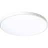 Светильник светодиодный декоративный JAZZWAY 5060944 PPB OPAL 70Вт 6500К IP20 d460х55 настенно-потолочный бытовой WH