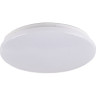 Светильник светодиодный настенно-потолочный JAZZWAY PPB STARWAY-2 24W 4000K IP20