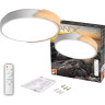 Светильник светодиодный потолочный JAZZWAY PPB SCANDIC-R 90W DIM 3000-6500K WH/W IP20