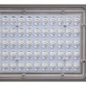 Светильник светодиодный уличный JAZZWAY PSL 02 100W 5000K GR IP65