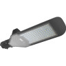Светильник светодиодный уличный JAZZWAY PSL 02 100W 5000K GR IP65