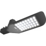 Светильник светодиодный уличный JAZZWAY PSL 02 30W 5000K GR IP65