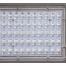 Светильник светодиодный уличный JAZZWAY PSL 02 30W 5000K GR IP65