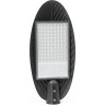 Светильник светодиодный уличный JAZZWAY PSL 03 100W 5000K GR IP65